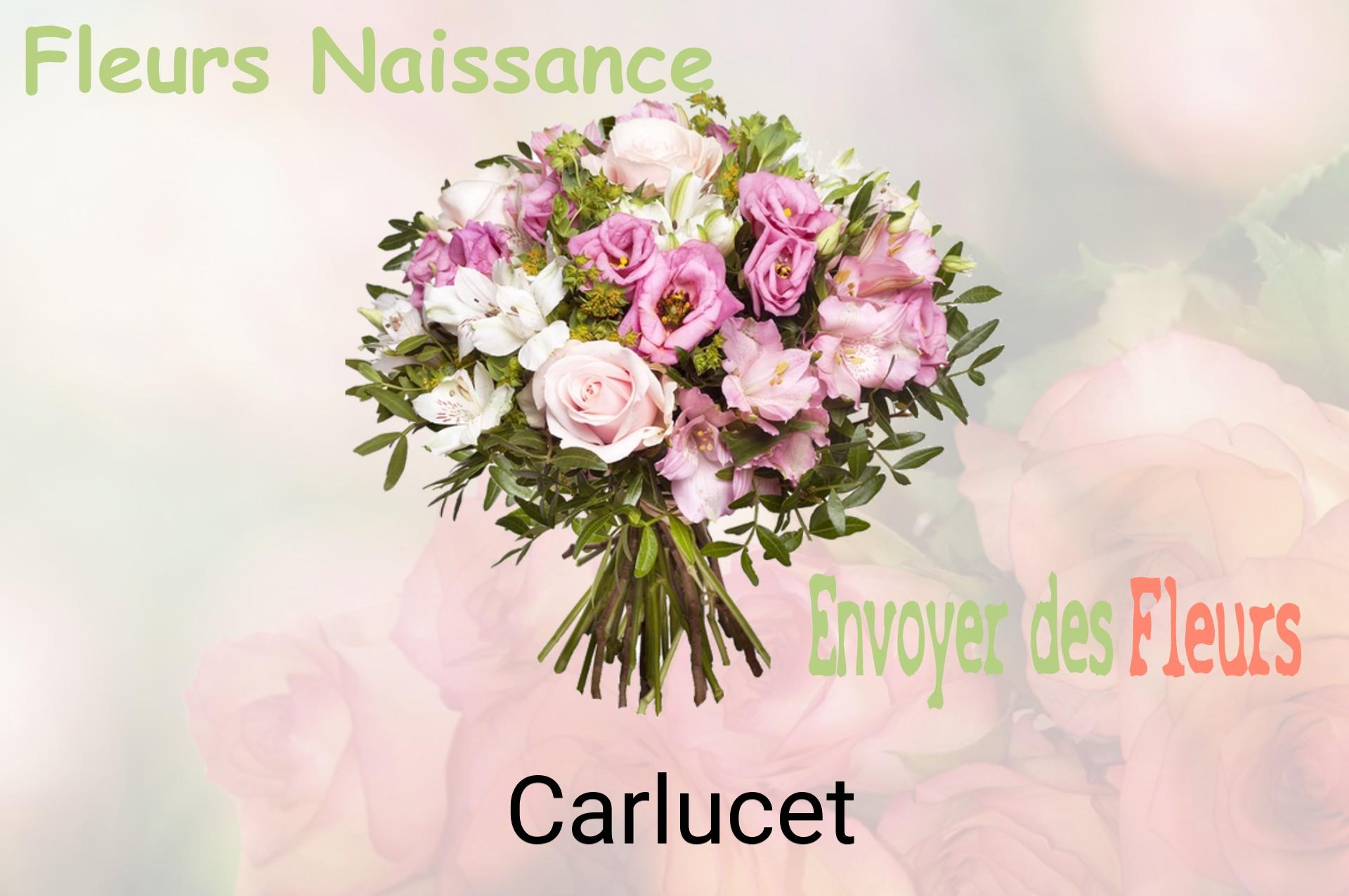 Bouquet de fleurs de naissance livré à Carlucet